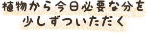 植物から今日必要な分を少しずついただく