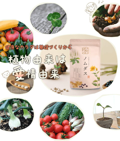 健康なカラダは基礎づくりから。植物由来は愛情由来