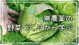 無農薬の野菜づくりから学ぶ