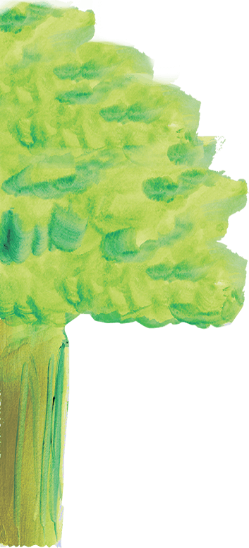 健康なカラダは基礎づくりから。植物由来は愛情由来