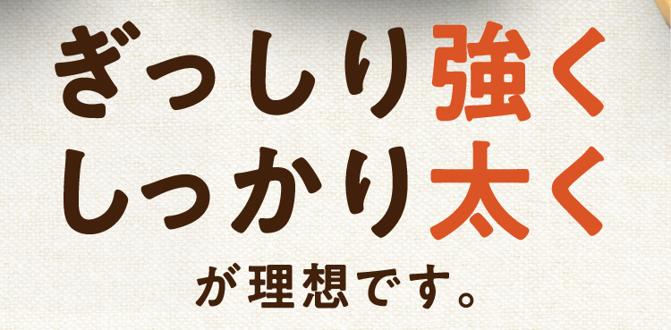 ぎっしり強くしっかり太くが理想です。