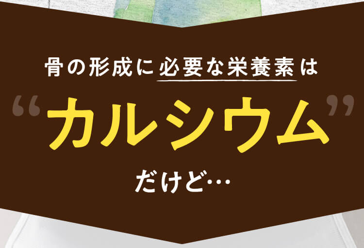 骨の形成に必要な栄養素はカルシウムだけど…