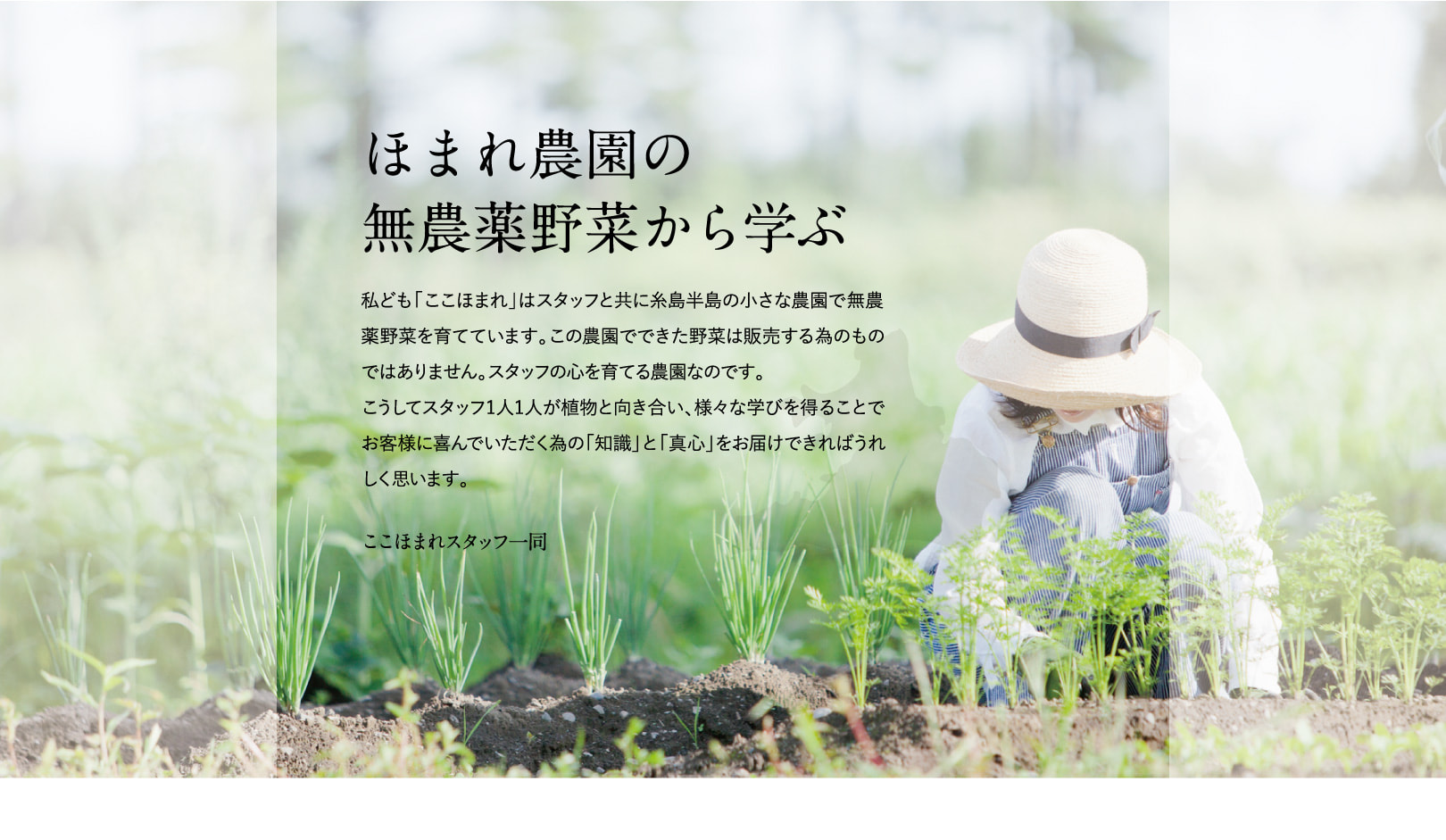 こだわり：無農薬野菜から学ぶ