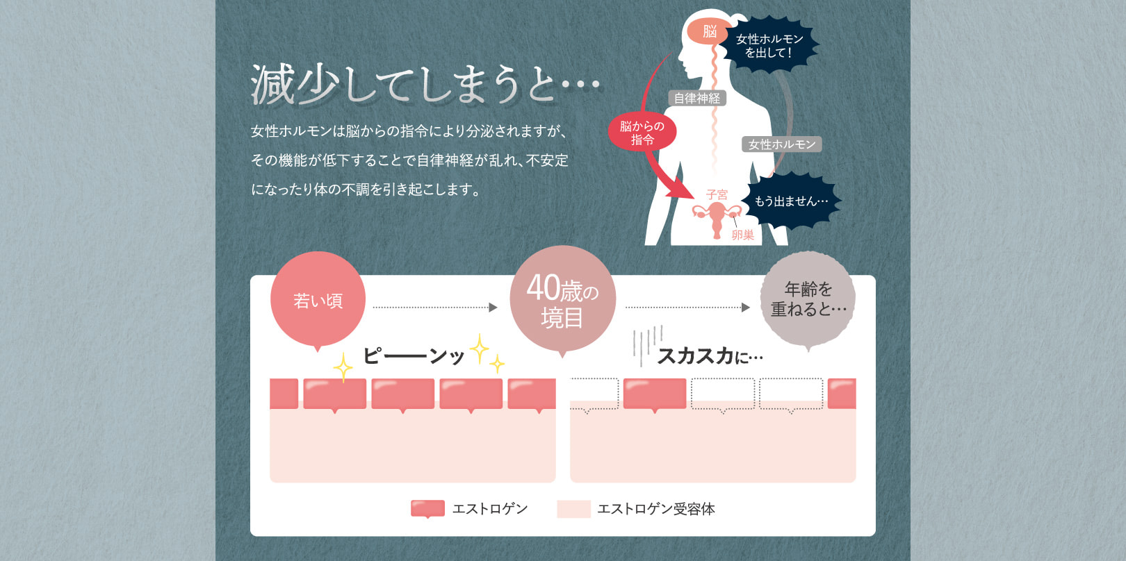 図解：減少による体調への影響