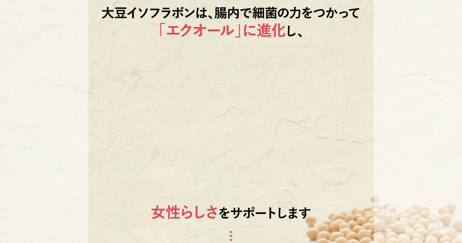 解説：進化メカニズム