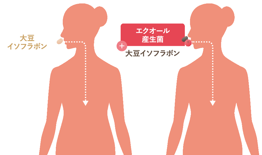 GIF：腸内細菌イメージ