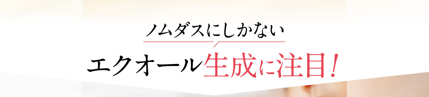 特長：ノムダス独自の製法