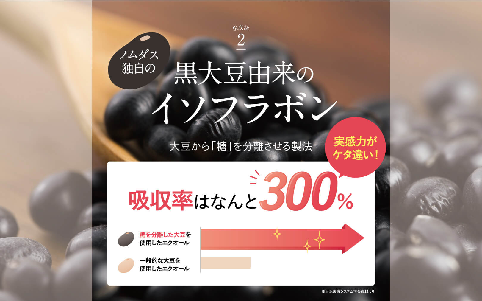 成分：黒大豆由来のイソフラボン