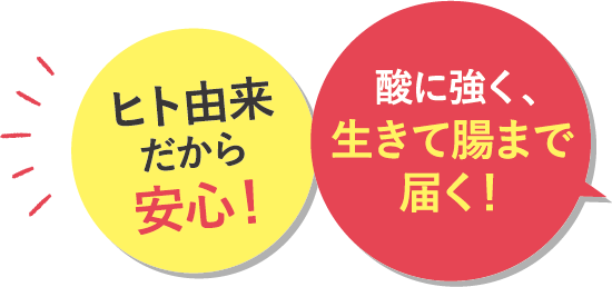 補足：生きて届くヒト由来菌