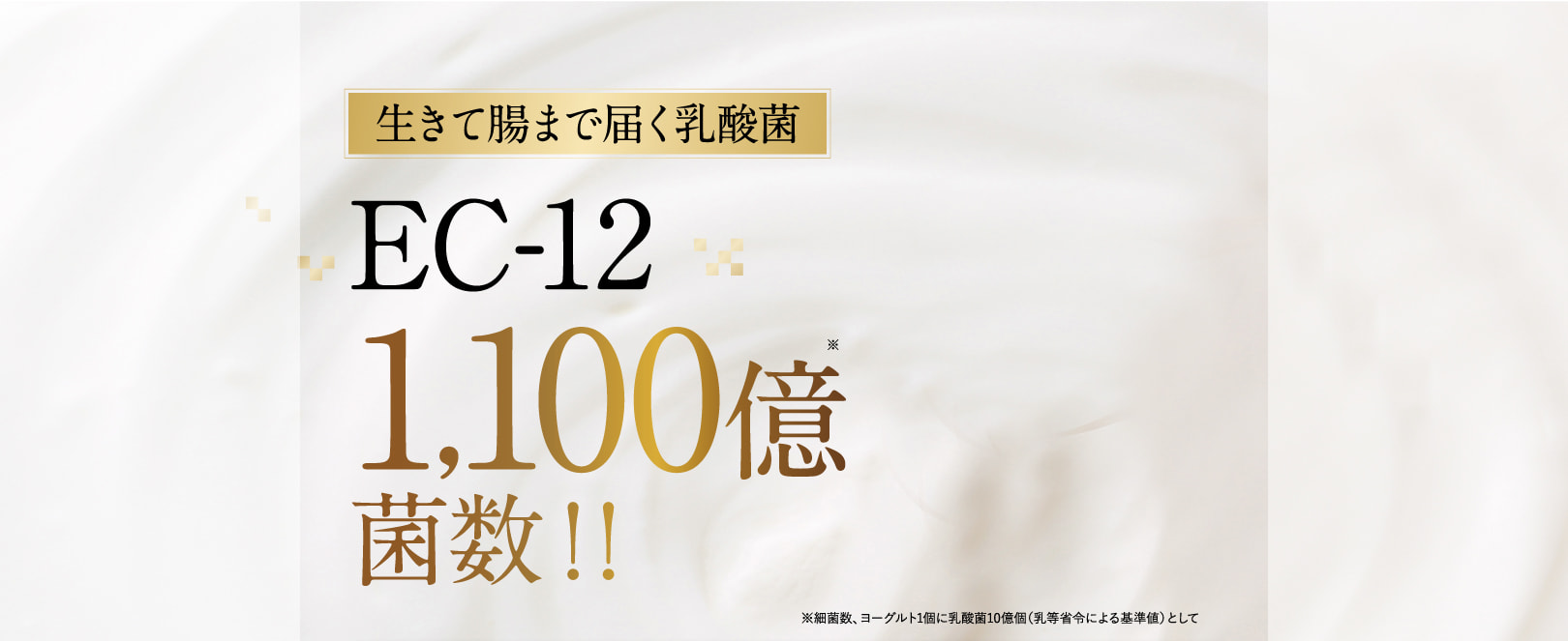 成分：EC-12乳酸菌 ヨーグルト1,100億個分