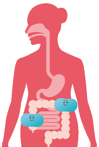 GIF：乳酸菌のイメージ動画