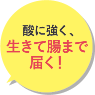 補足：酸に強く、生きて腸まで届く！