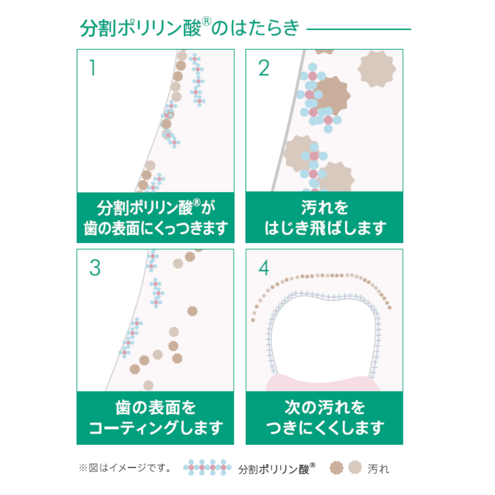 infact デンタルホワイトニングエッセンスP＋