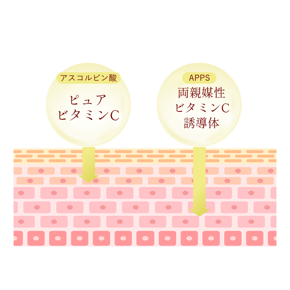 レカルカ CFセラムアドバンス