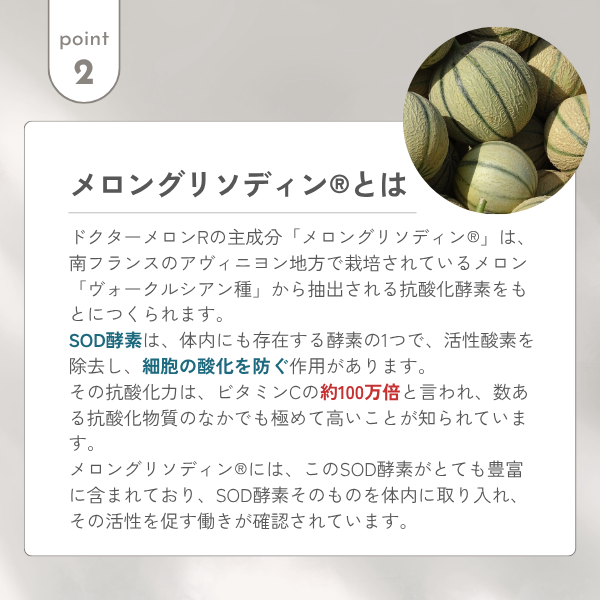 ドクターメロンR+C（抗酸化サプリメント）