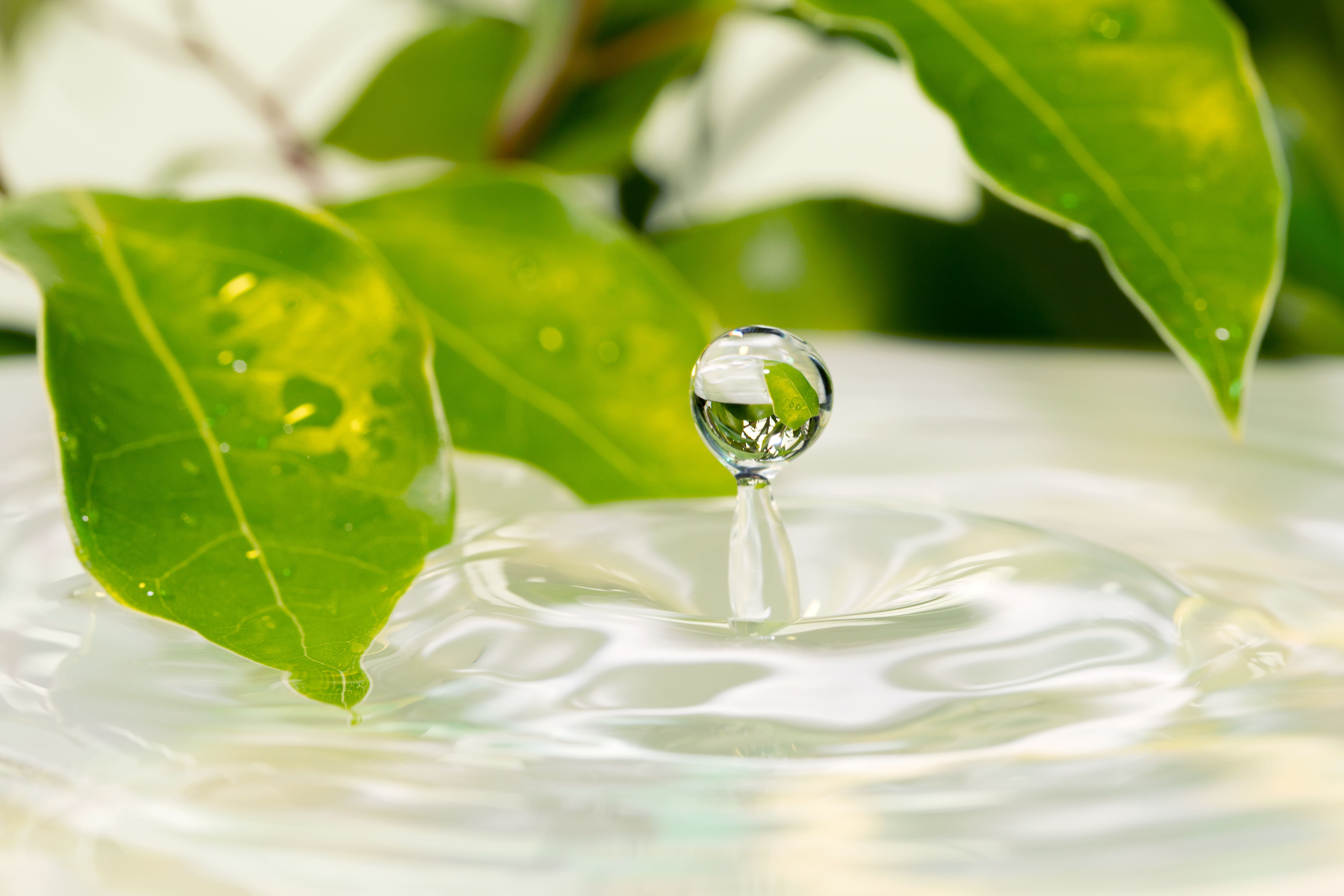 日焼けした後のパック選びのポイント