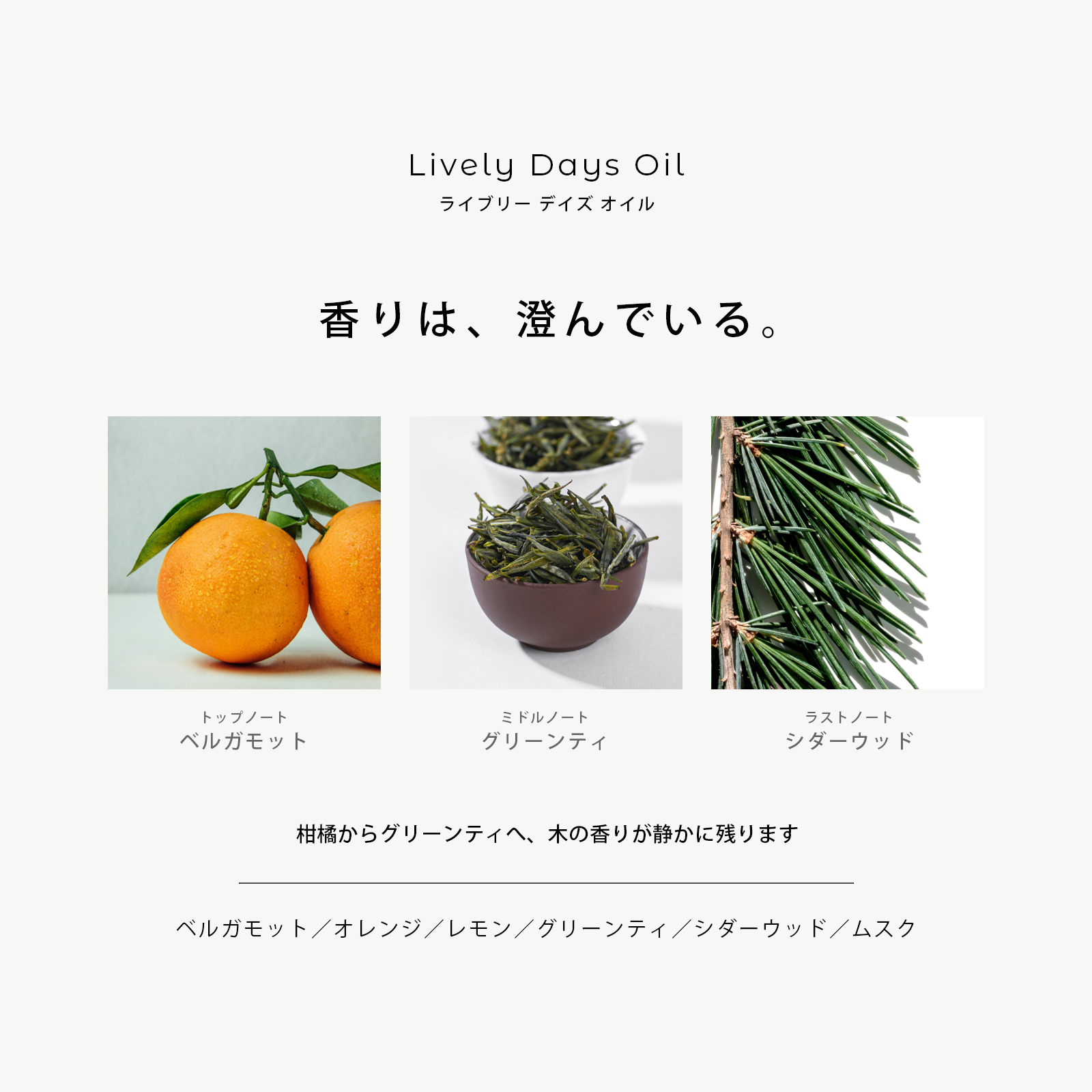 ソリダス ライブリーデイズ オイル 100ml