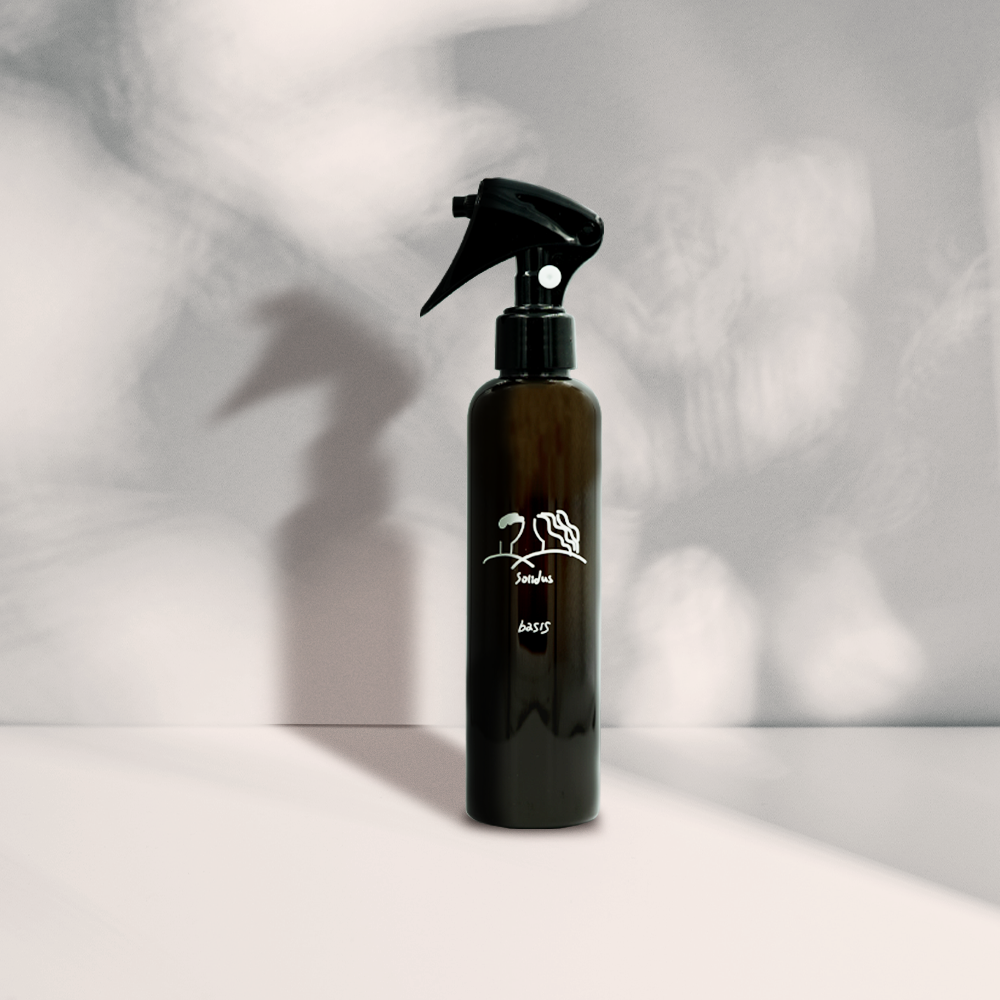 ソリダス ベイシス トリートメントウォーター 200ml 2本セット