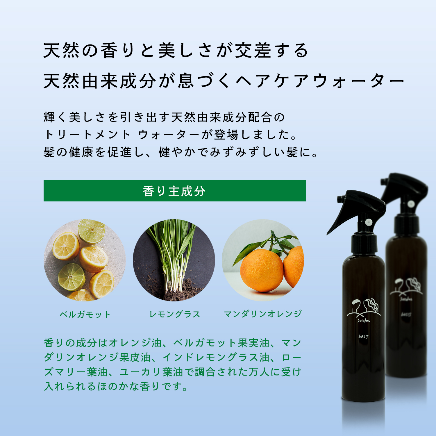 ソリダス ベイシス トリートメントウォーター 200ml 2本セット