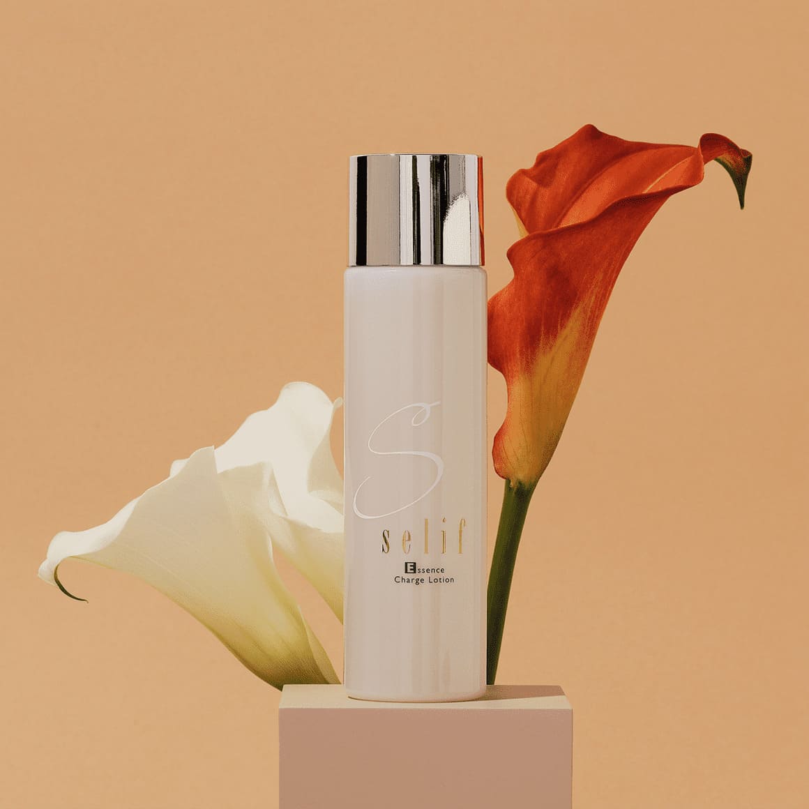 期間限定】セリフ基礎3点特別セット（14日間返品保証対応） | セリフ