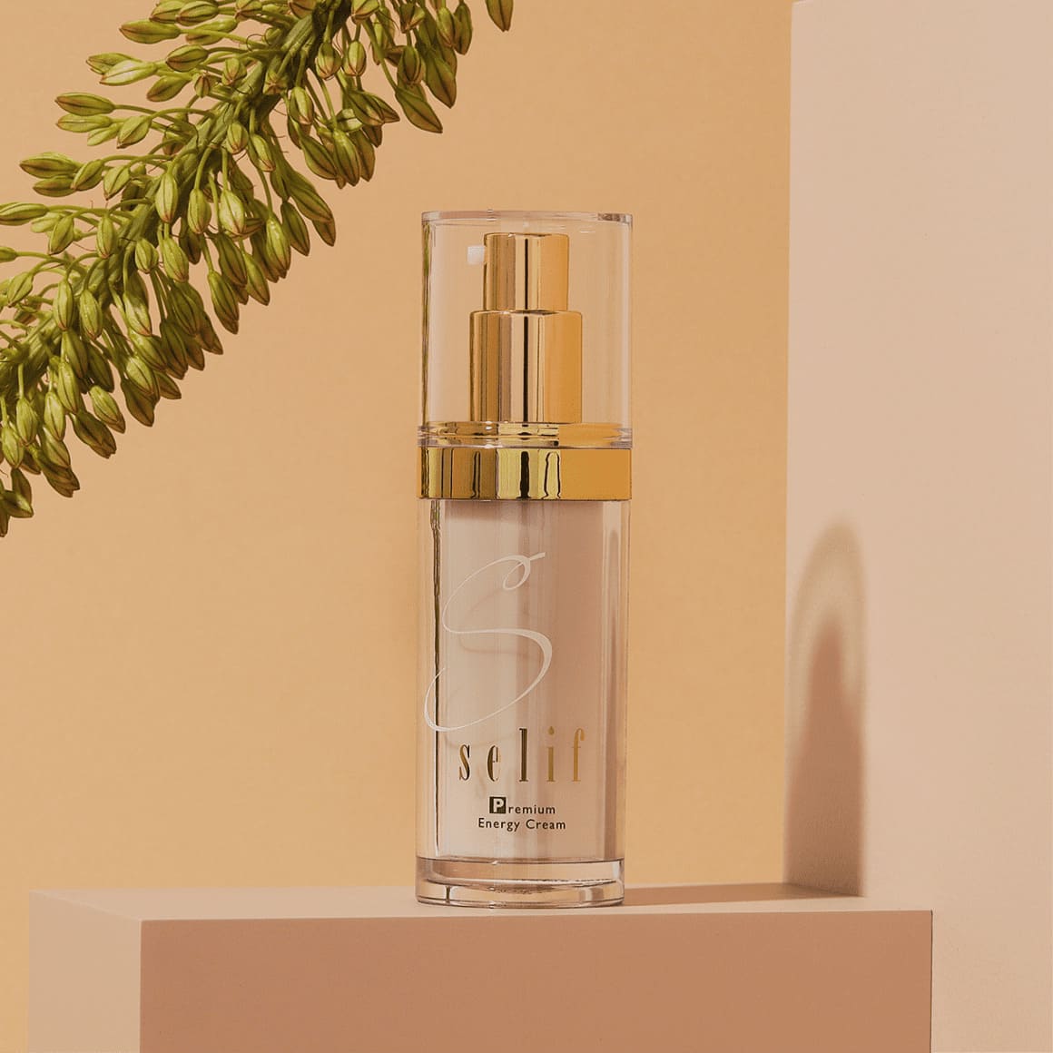 期間限定】セリフ基礎3点特別セット（14日間返品保証対応） | セリフ