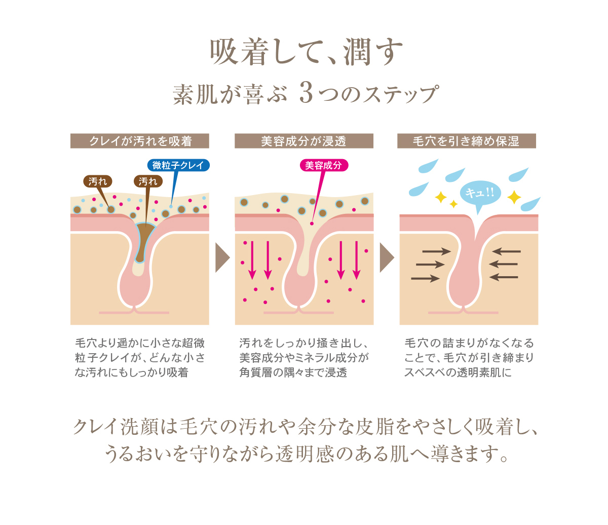 吸着して、潤す素肌が喜ぶ3つのステップ クレイが汚れを吸着 毛穴より遥かに小さな超微粒子クレイが、どんな小さな汚れにもしっかり吸着 美容成分が浸透 汚れをしっかり掻き出し、美容成分やミネラル成分が角質層の隅々まで浸透 毛穴を引き締め保湿 毛穴の詰まりがなくなることで、毛穴が引き締まりスベスベの透明素肌に クレイ洗顔は毛穴の汚れや余分な皮脂をやさしく吸着し、うるおいを守りながら透明感のある肌へ導きます。