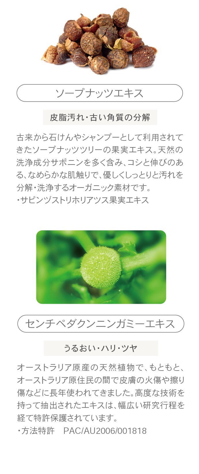 セリフ クレイクイックウォッシュ | セリフ公式オンラインショップ