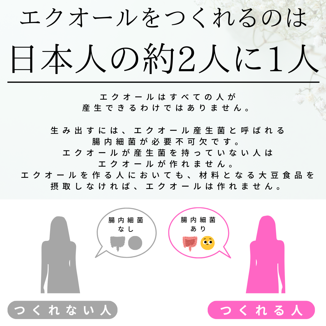 エクエル パウチ（120粒×3袋・およそ30日分） 定期コース