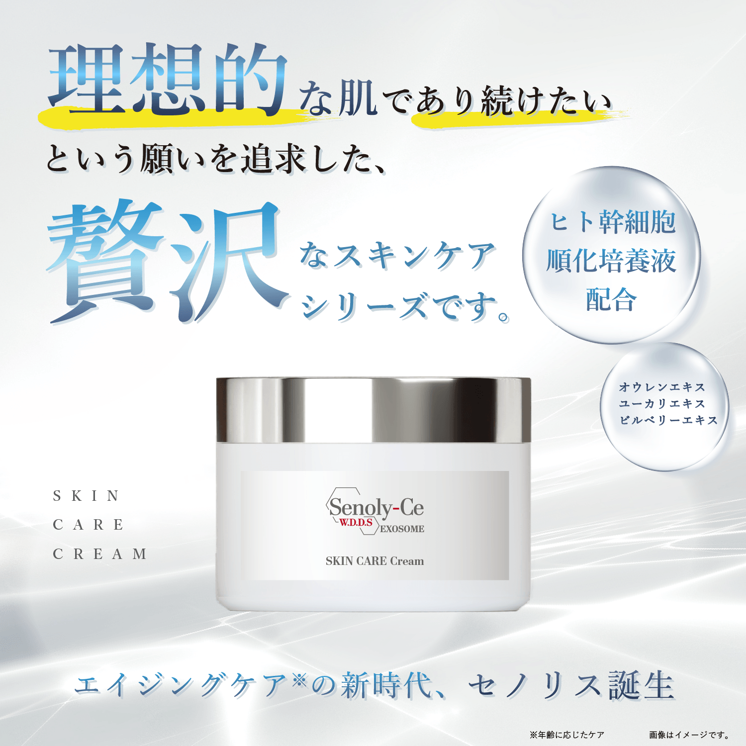 【定期お届け】セノリス スキンケア クリーム 50g