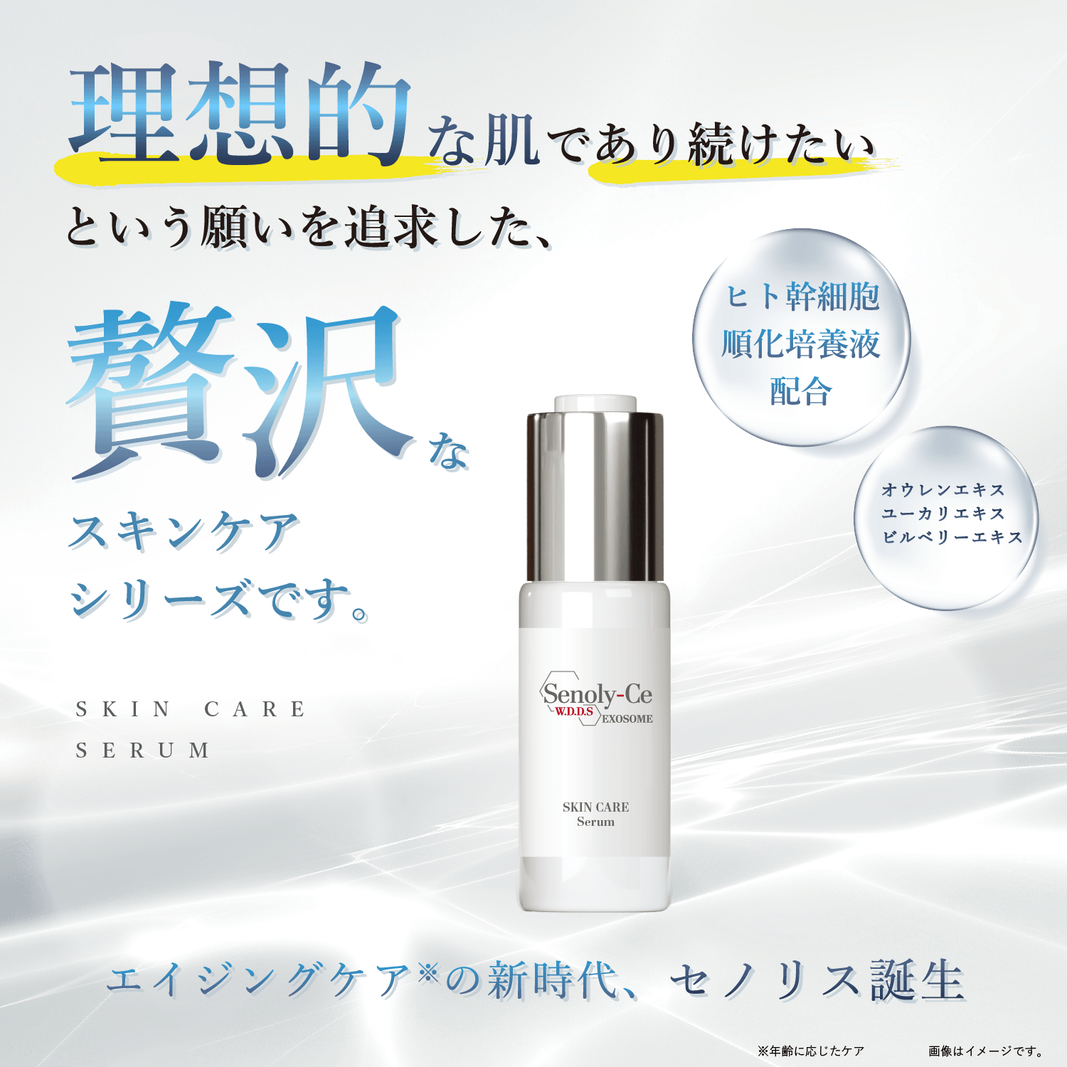 【定期お届け】セノリス スキンケア セラム 30g