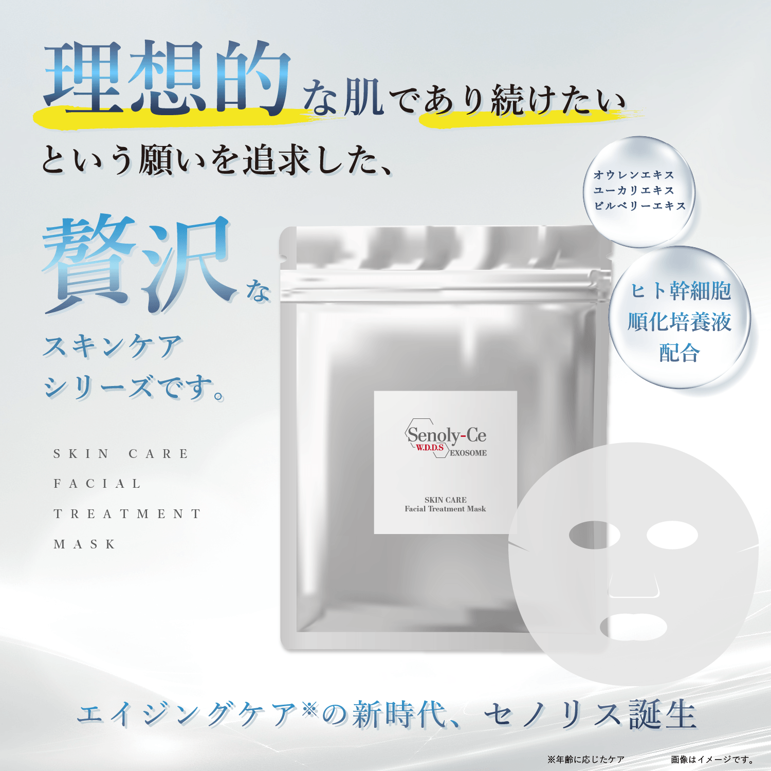 【定期お届け】セノリス スキンケア フェイシャル トリートメントマスク 4枚入