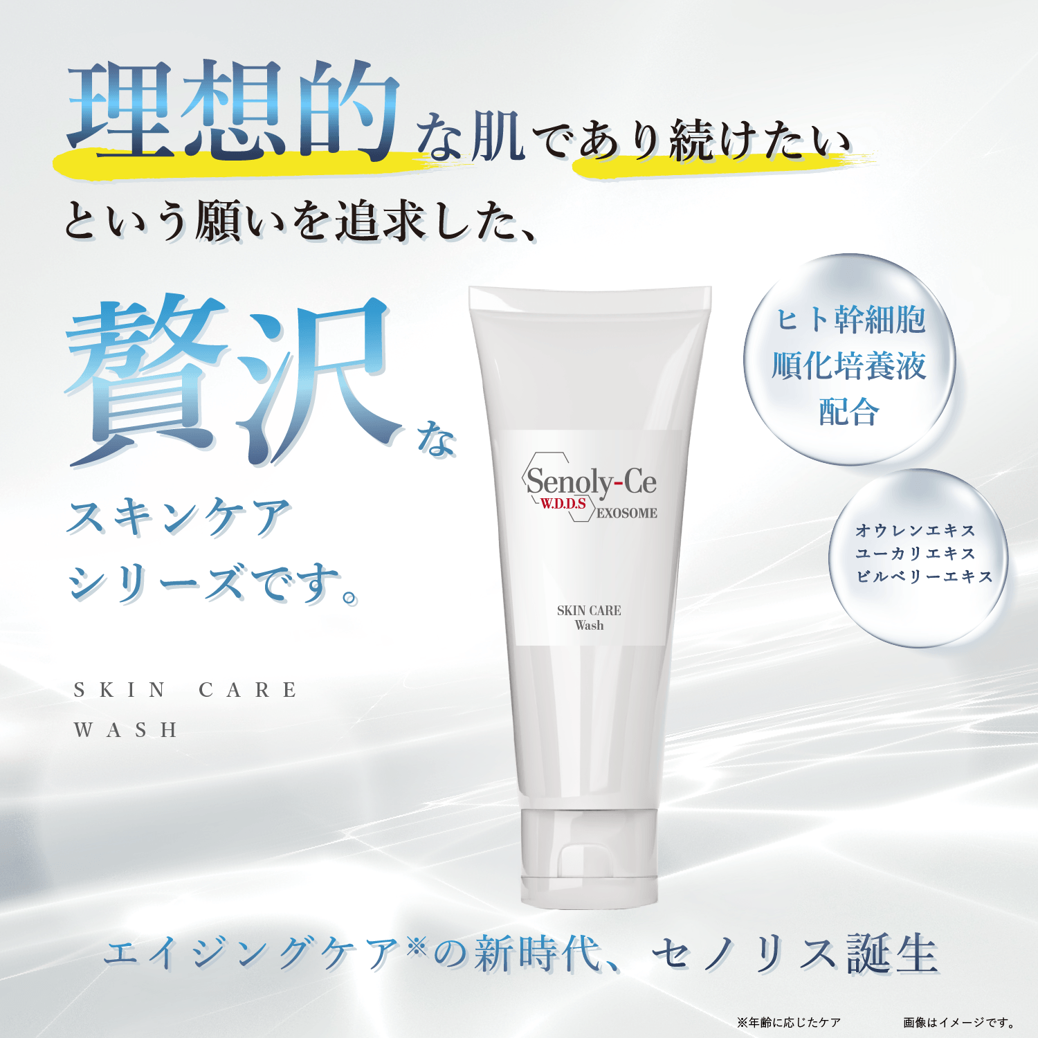 セノリス スキンケア ウォッシュ 70g