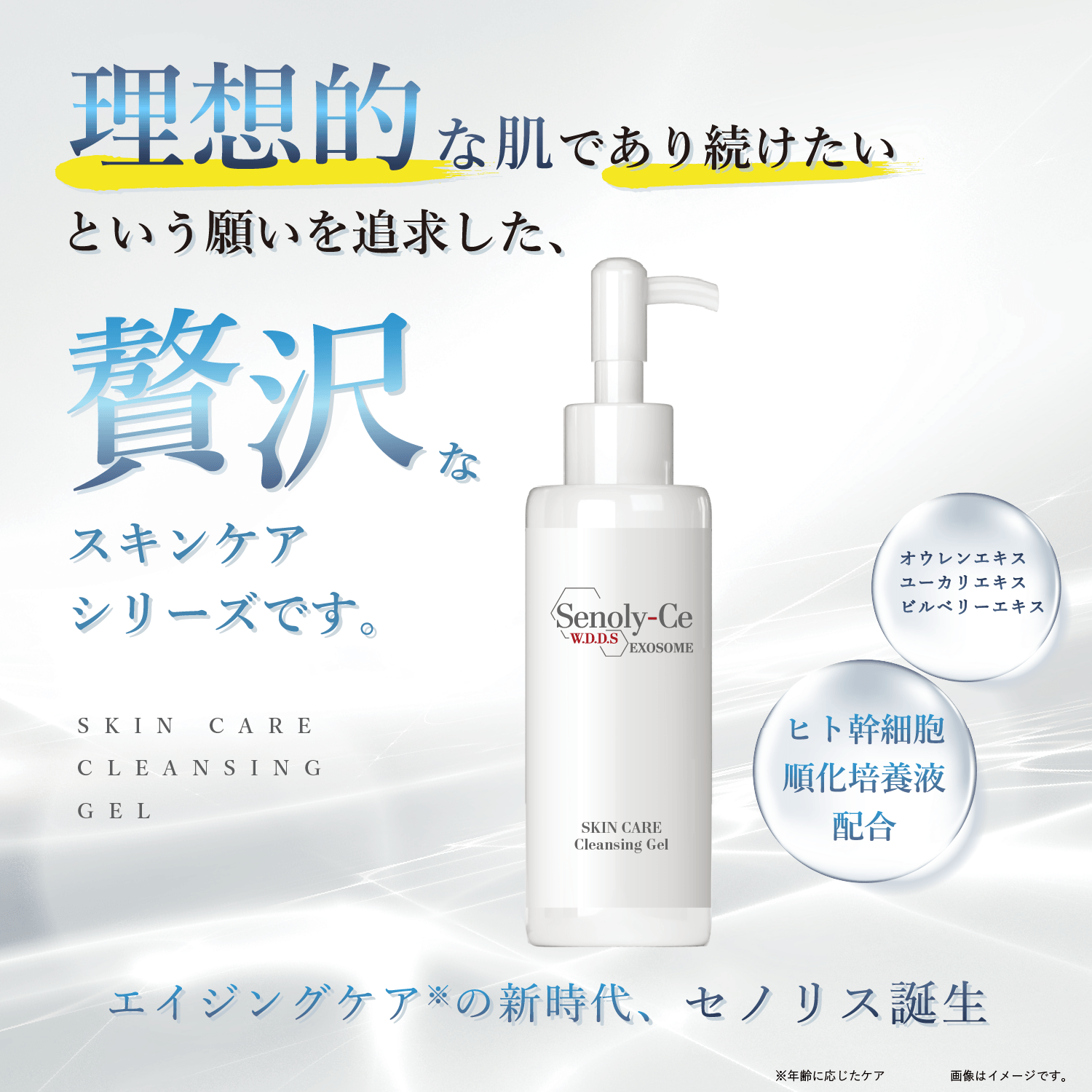 【定期お届け】セノリス スキンケア クレンジングジェル 100ml