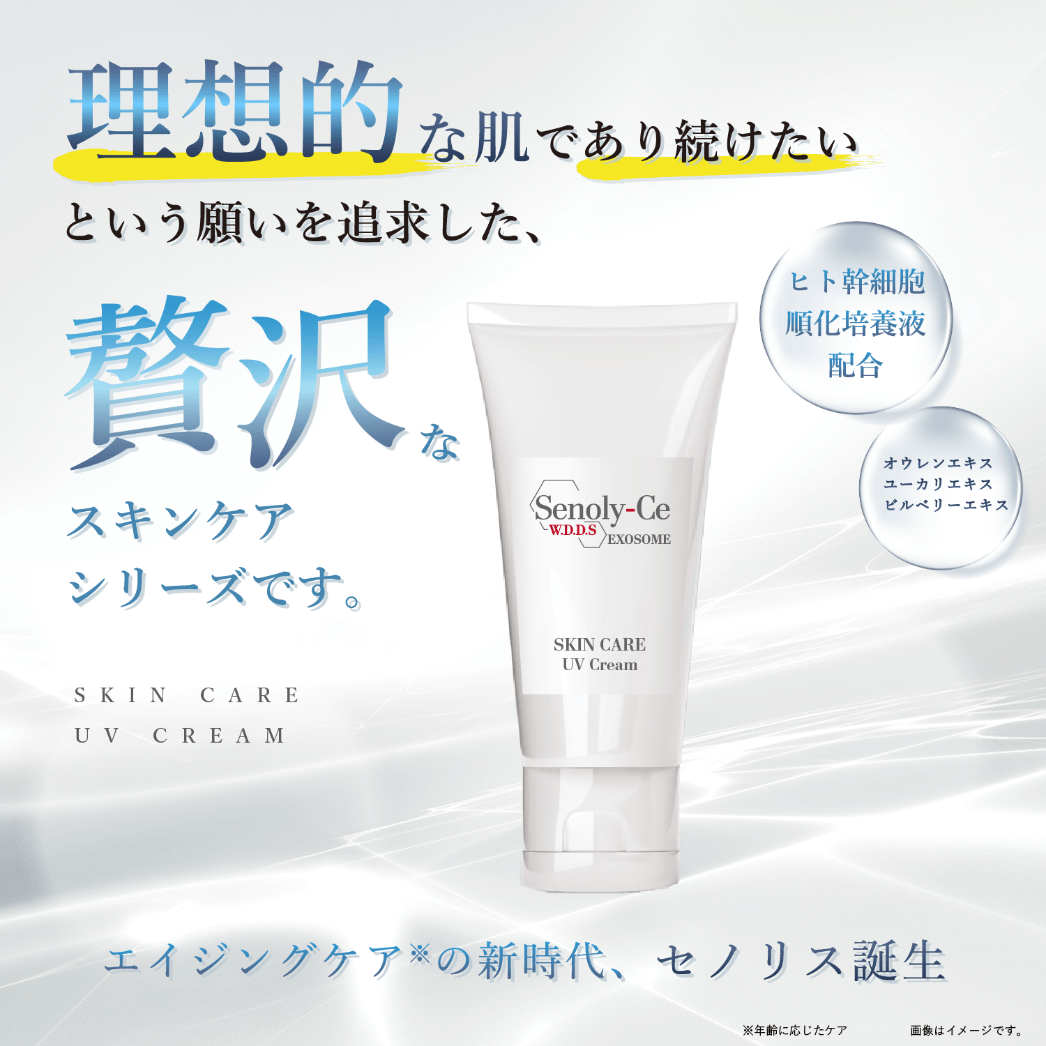 【定期お届け】セノリス スキンケア UVクリーム 30g