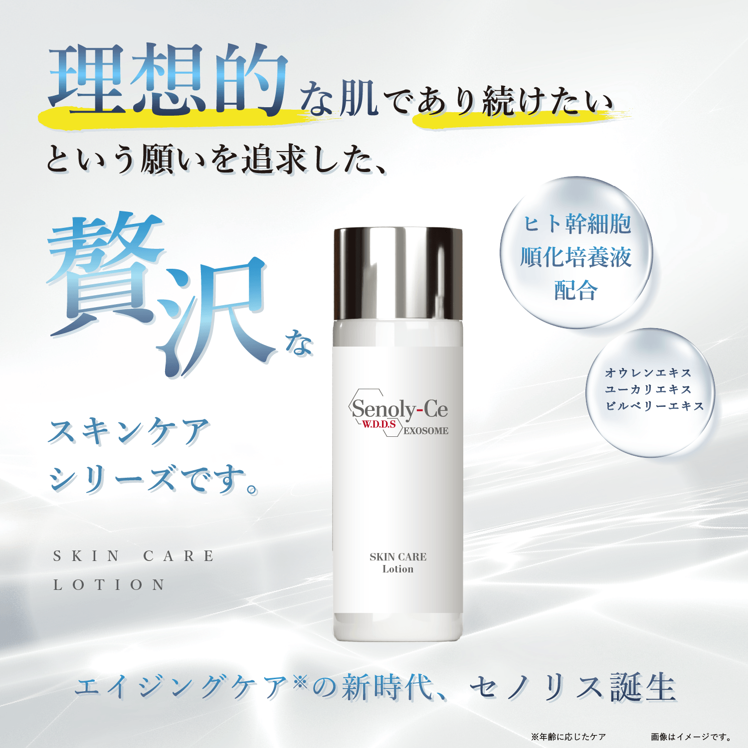 セノリス スキンケア ローション 100ml