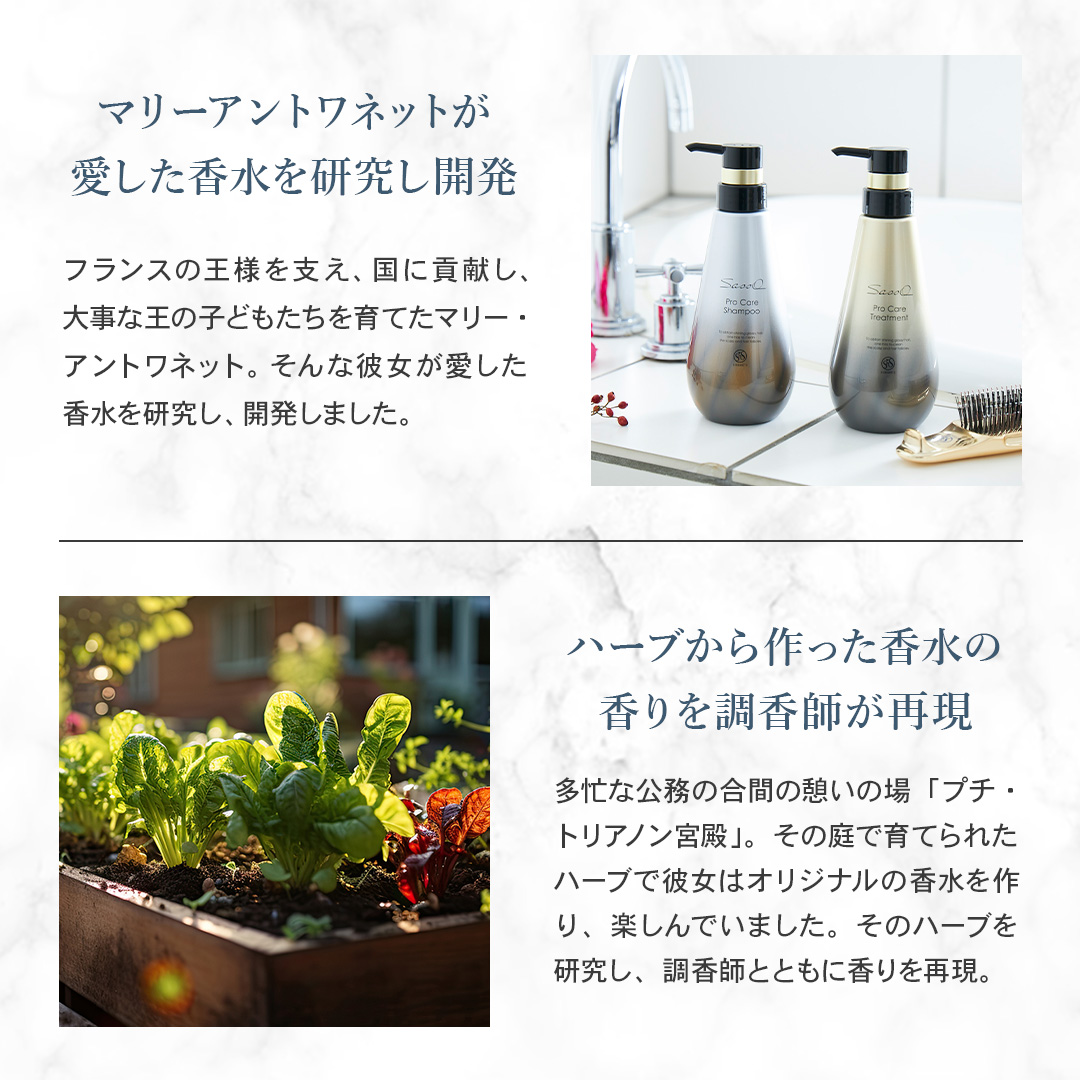 Sassoプロケアシャンプー＆トリートメント 定期コース