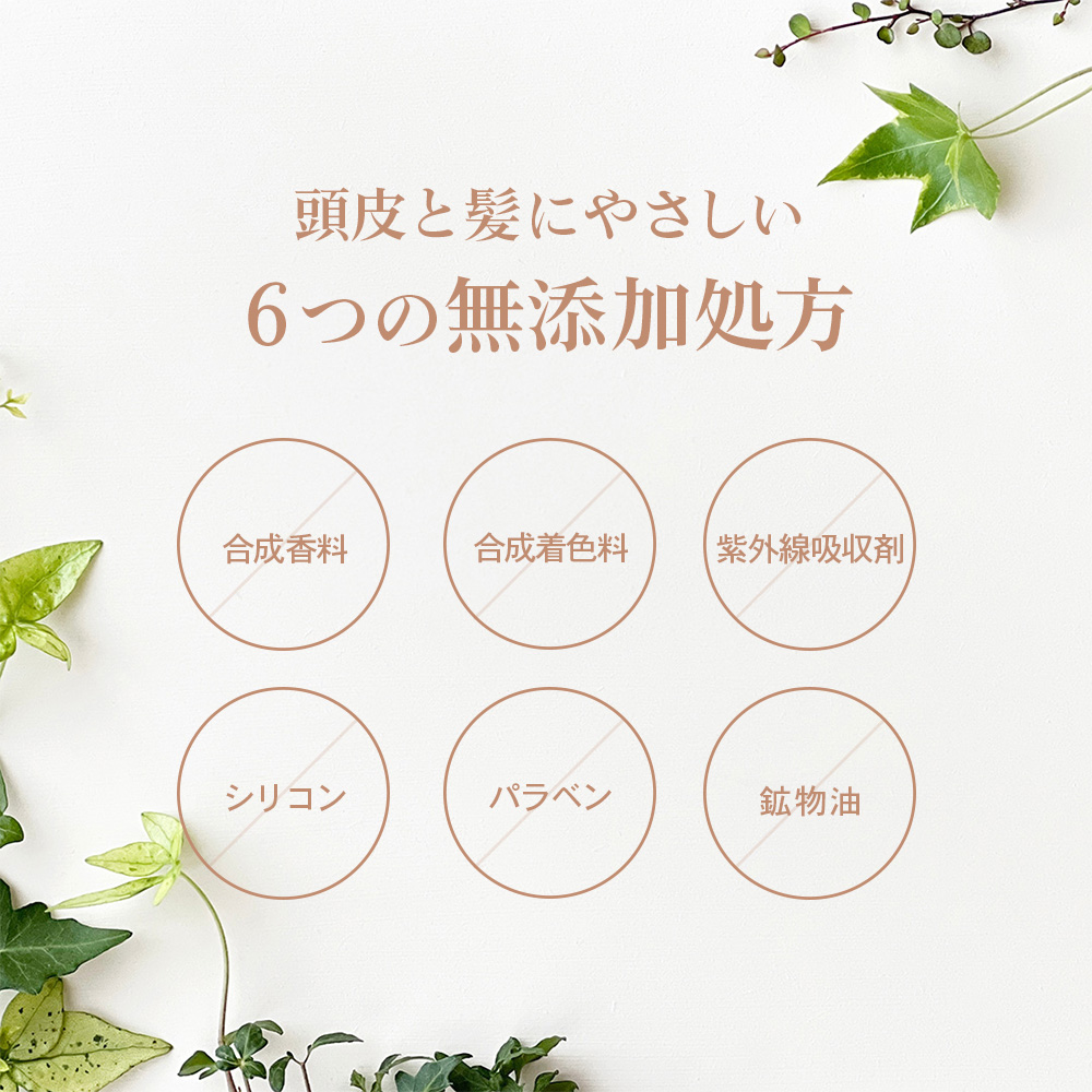 Sasso ボリュームミスト 育毛剤 150mL 医薬部外品 定期コース