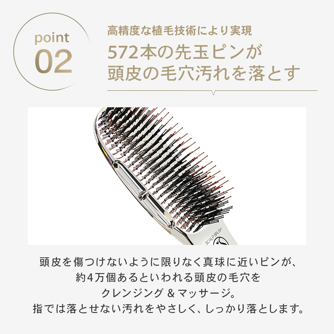 プリュスショート