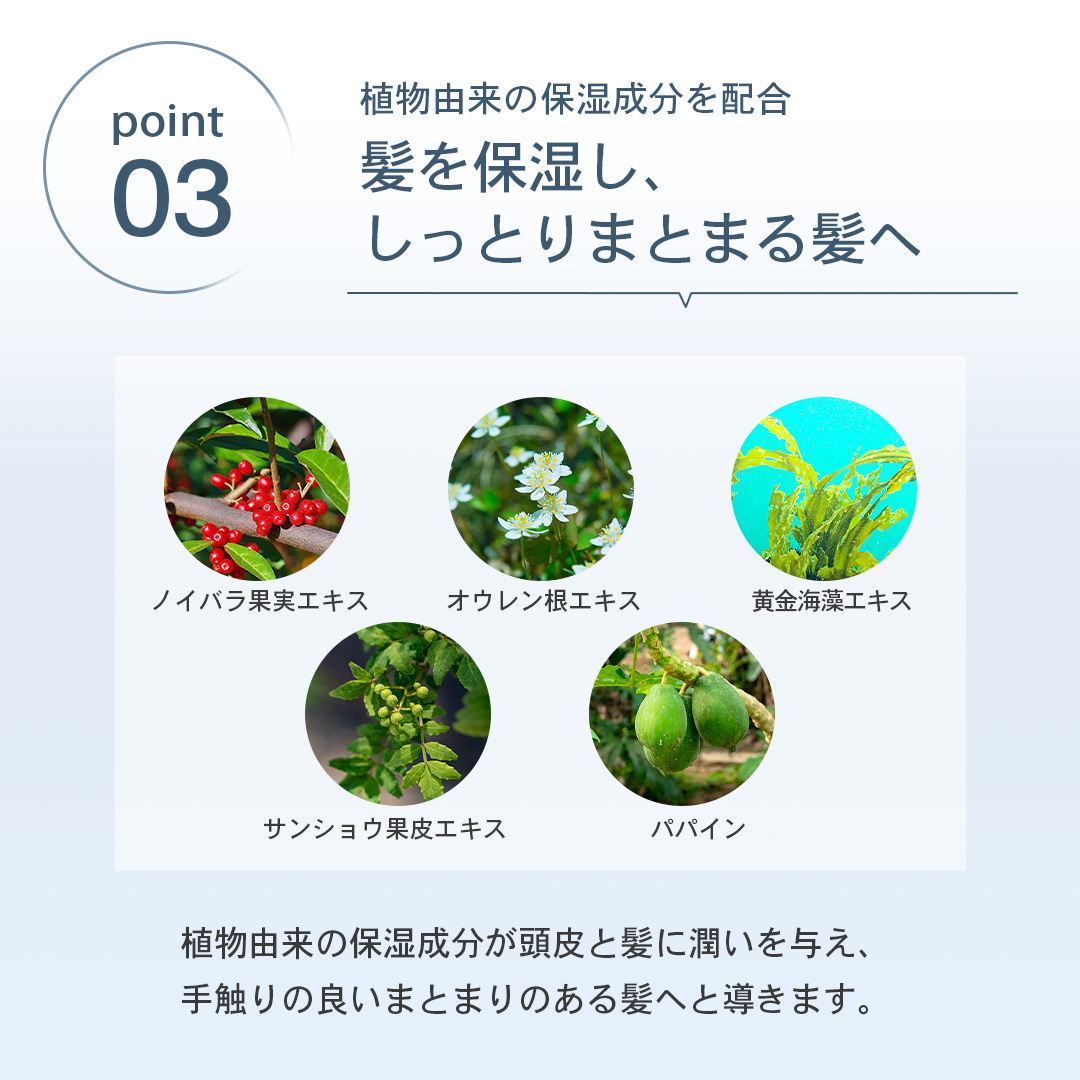 Sassoシャンプー＆トリートメントセット