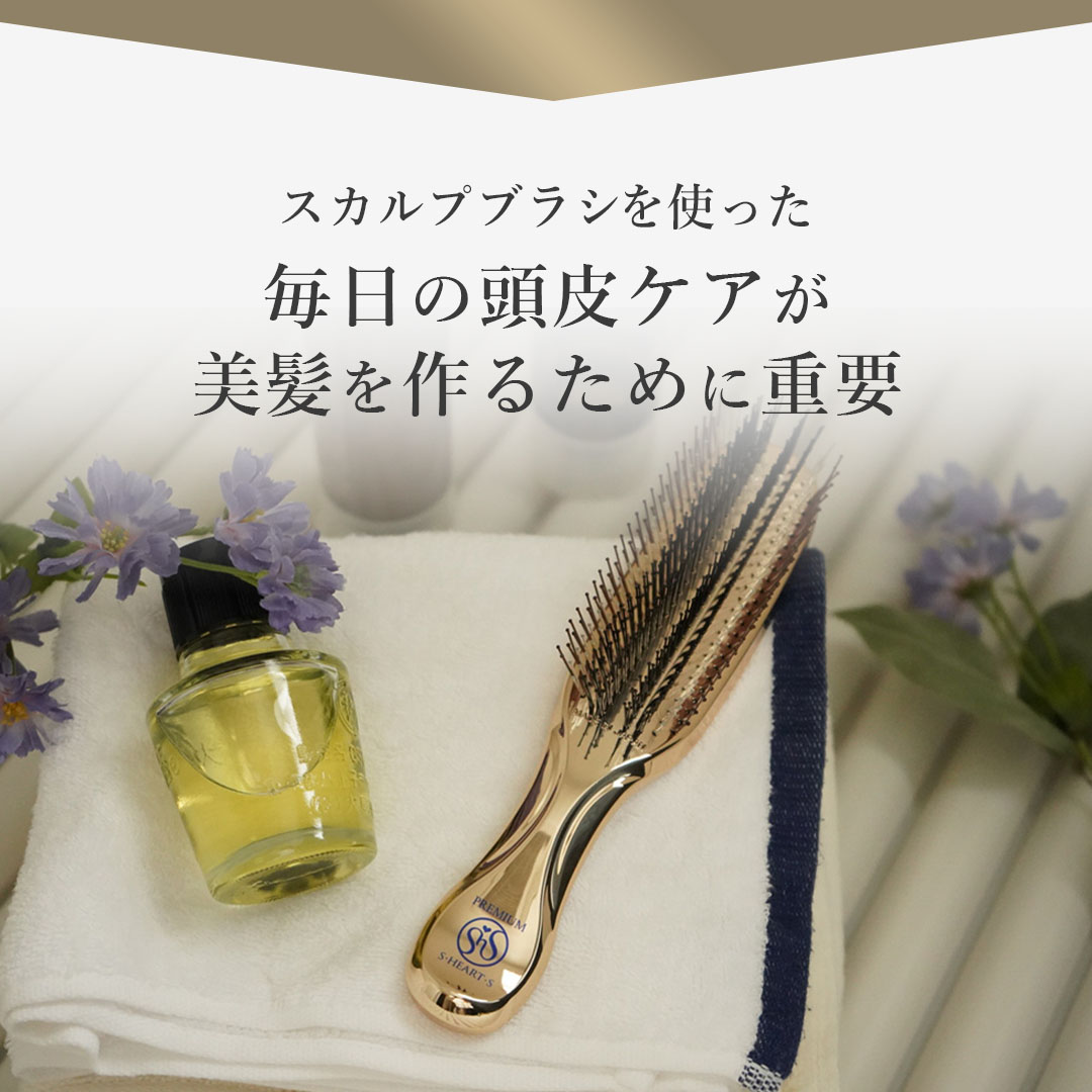 プリュスショート
