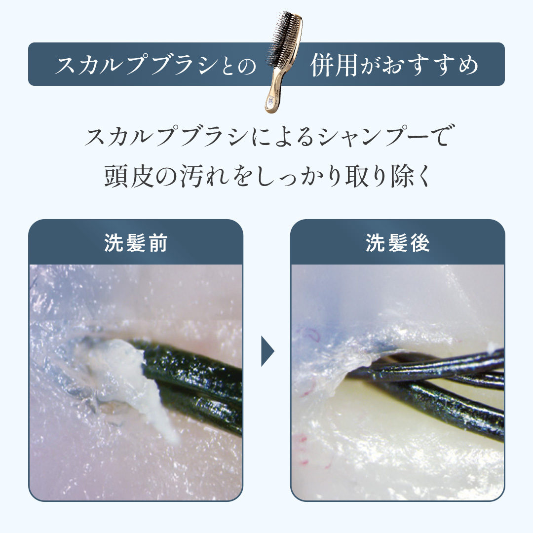 Sasso プロケアシャンプー 400mL 定期コース