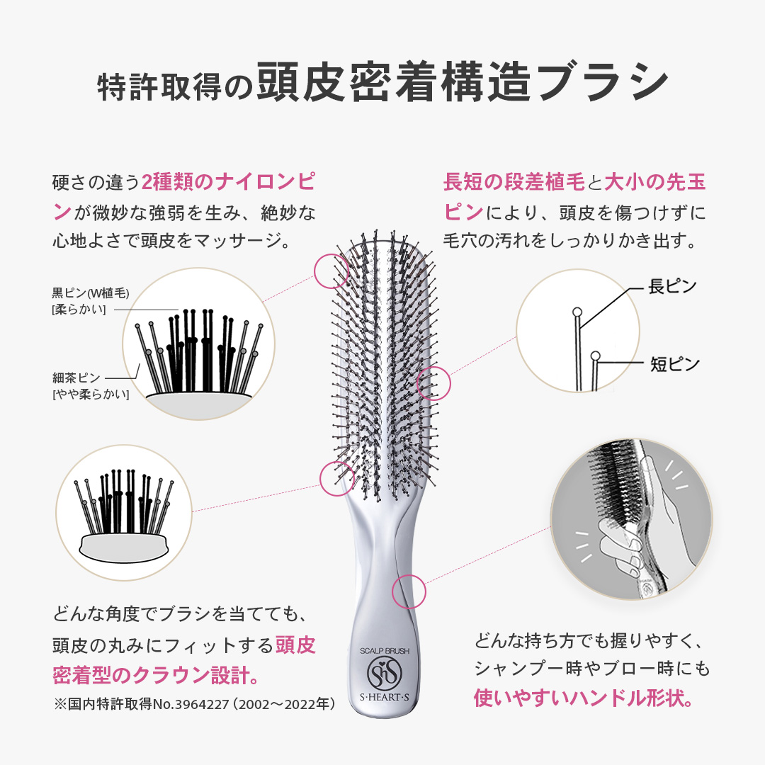 プリュスの特徴