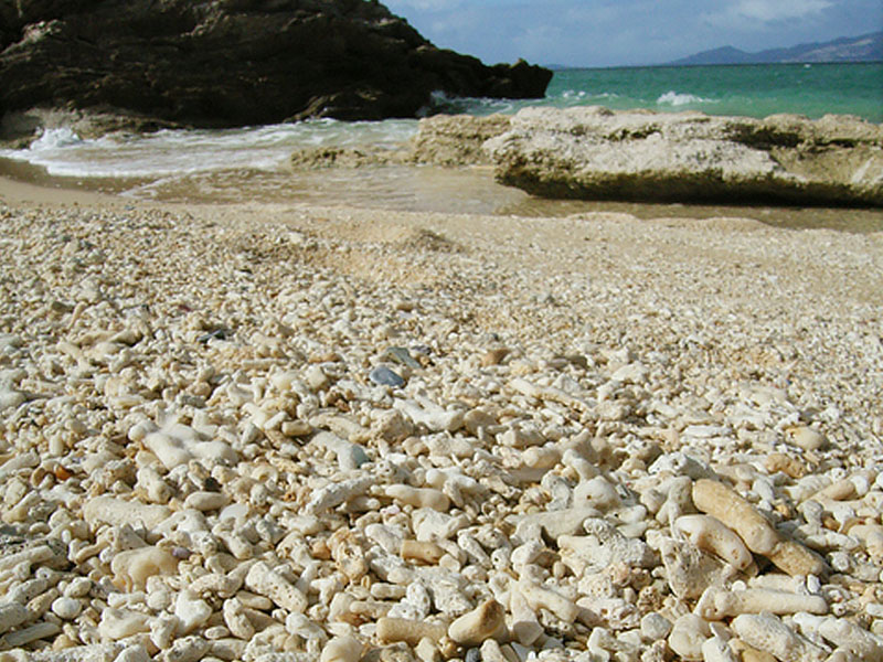 然プラス さんごでUV