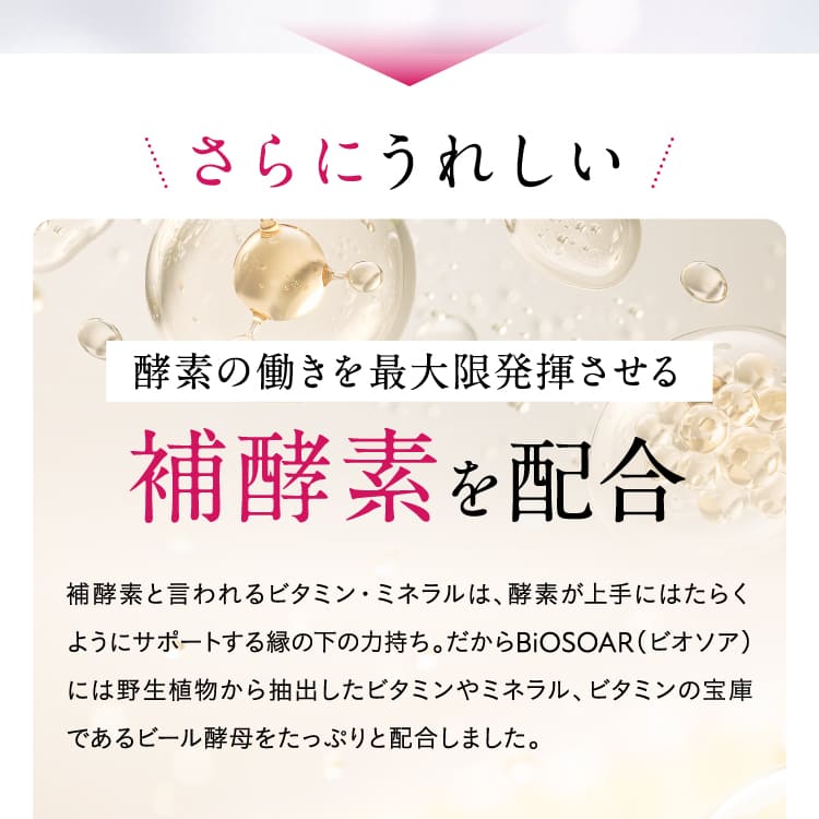 【定期】新谷酵素 BiOSOAR ビオソア 【メール便】