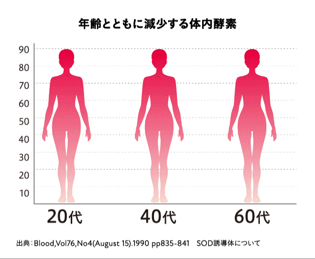 【定期】新谷酵素 BiOSOAR ビオソア 【メール便】