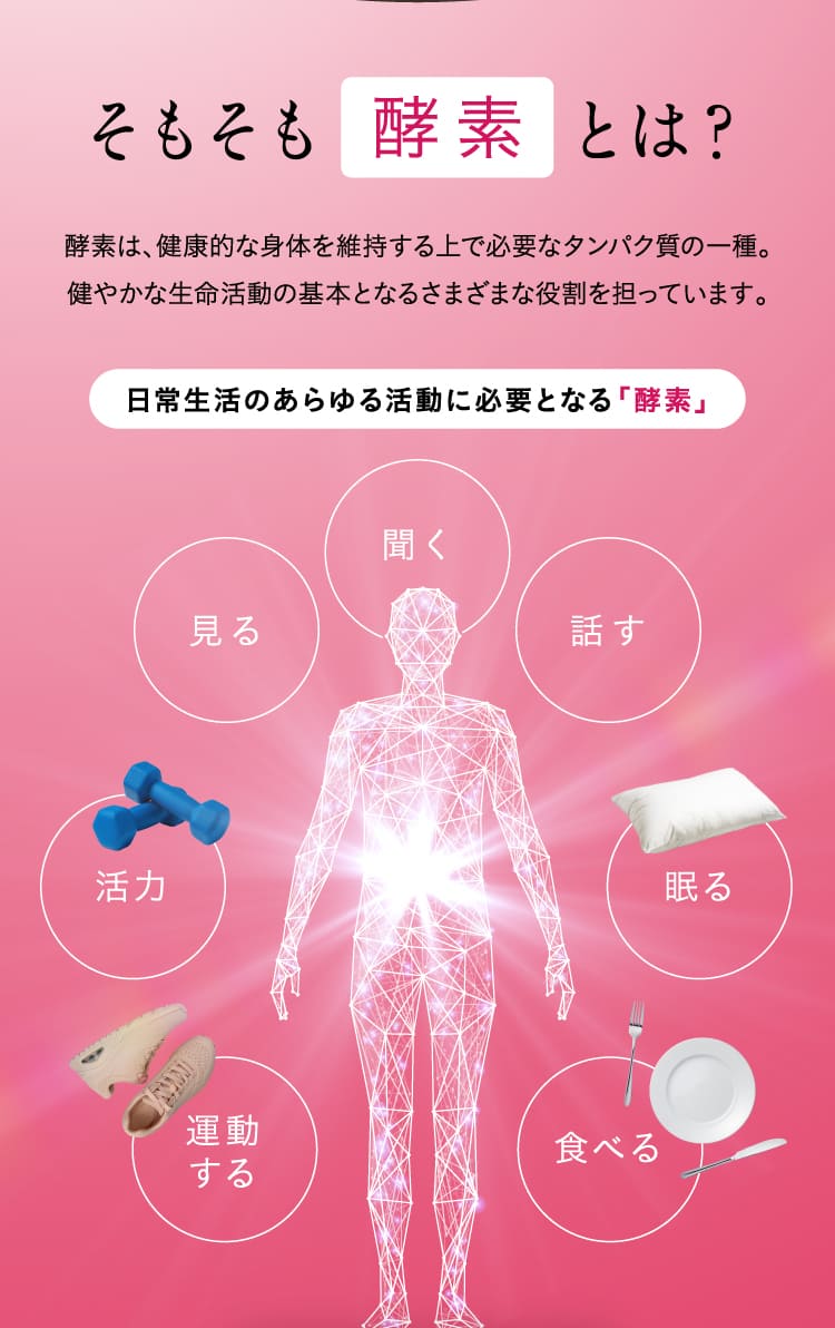 【定期】新谷酵素 BiOSOAR ビオソア 【メール便】
