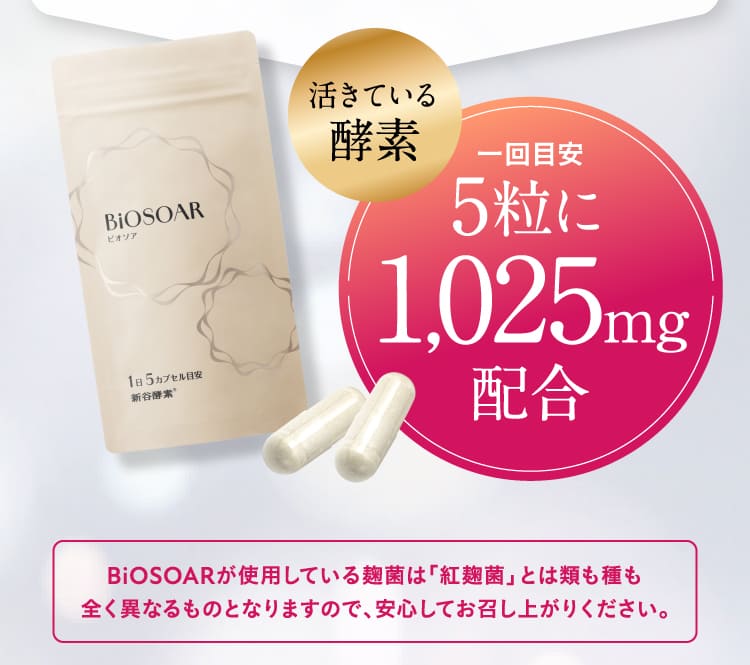 【定期】新谷酵素 BiOSOAR ビオソア 10%OFF