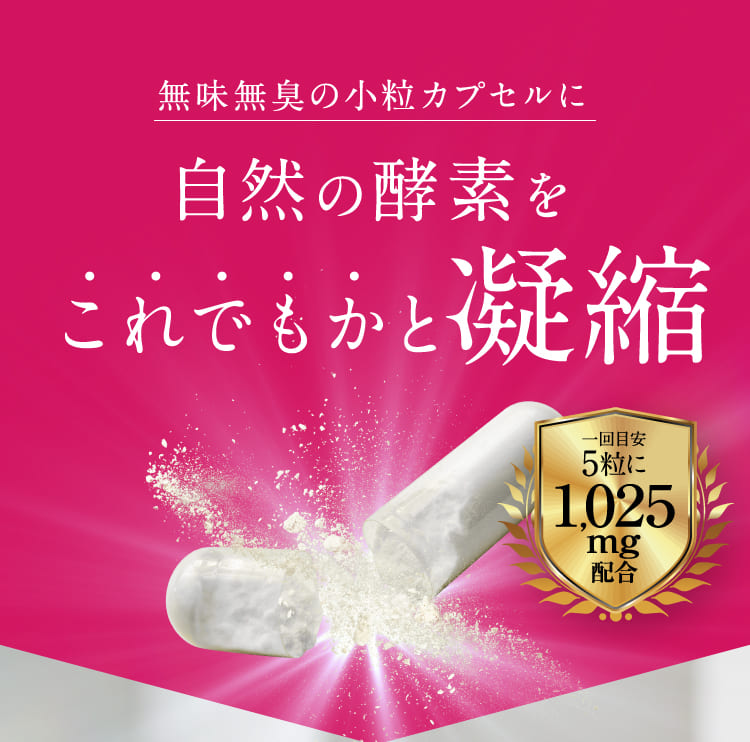 【定期】新谷酵素 BiOSOAR ビオソア 【メール便】