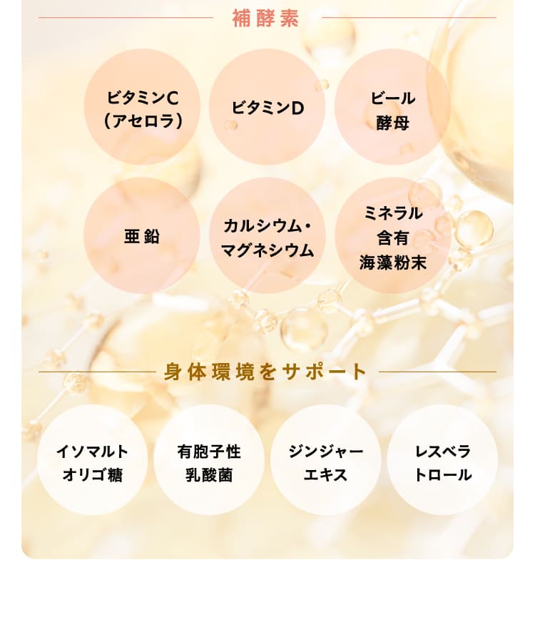 【定期】新谷酵素 BiOSOAR ビオソア 【メール便】