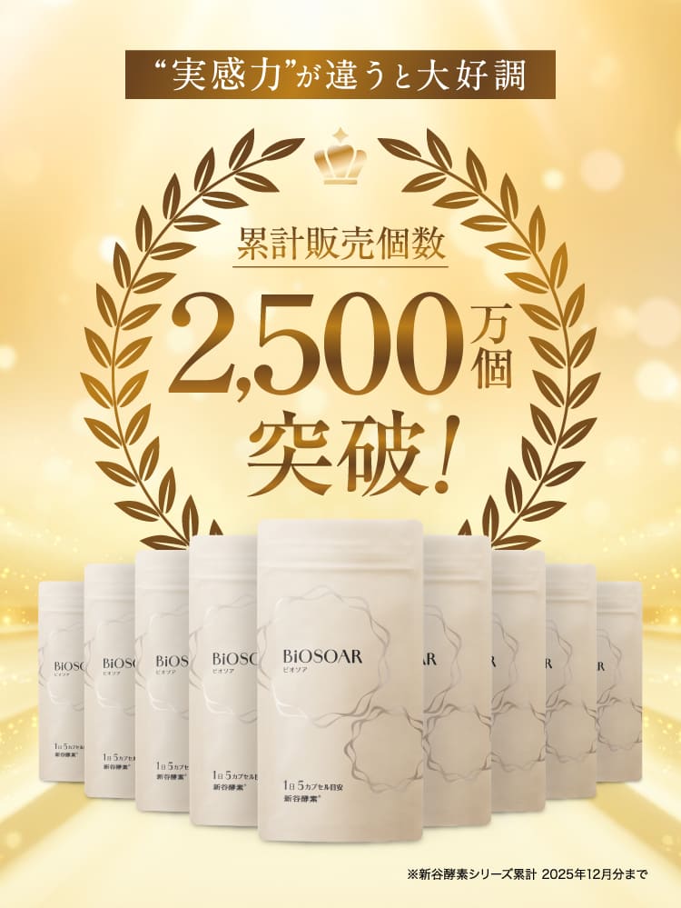 2,500万個突破!